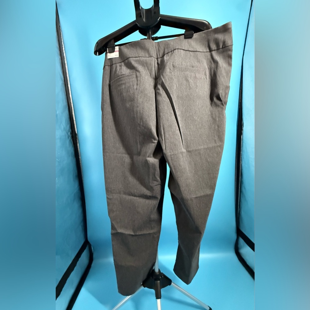 Plus Size Women Kim Rogers Tummy Control Pull On Pants Stretch Sz 24W Gray NWT - Picture 2 of 8